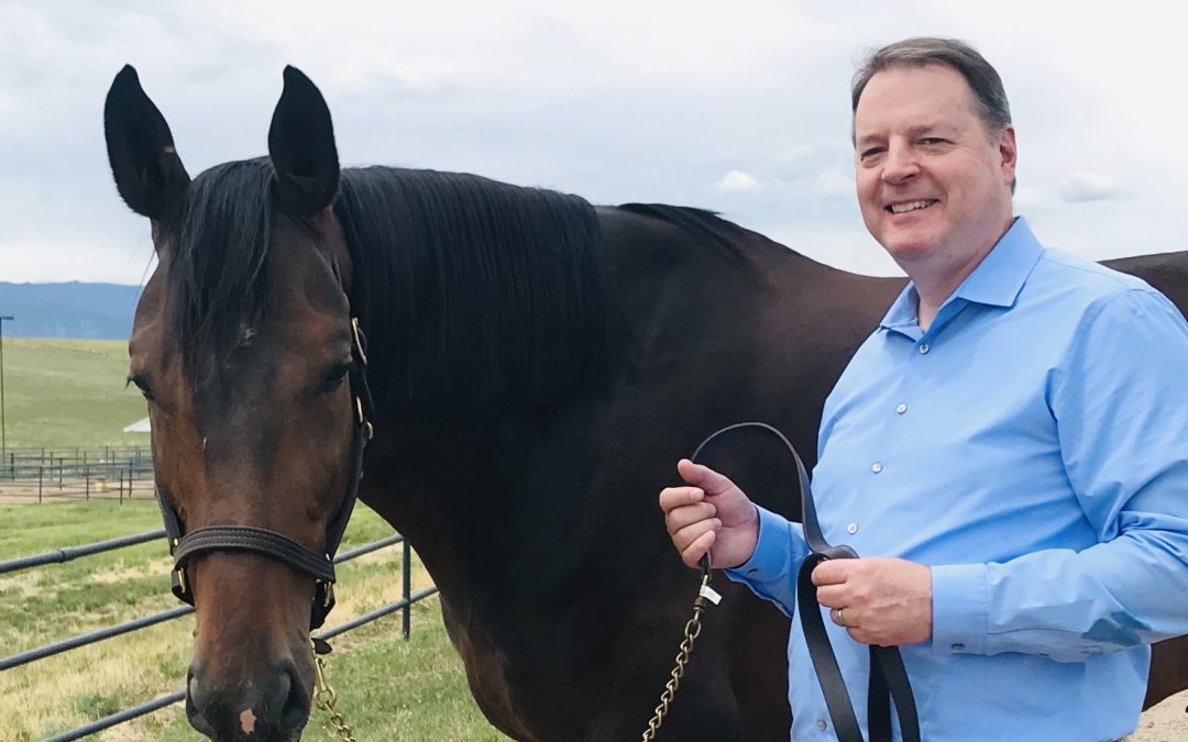 Interview with Dr. Paul Ransdell: Senior Development Office for The Foundation for the Horse
